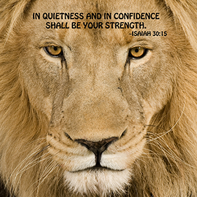 "In quietness and in confidence shall be your strength" - Isaiah 30:15
